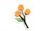 56 092 45_Foto3.jpg