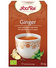 Yogi Thee Ginger Nl Bio 01 (6X17st)
