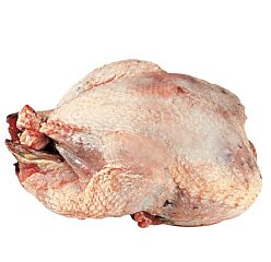 Patrijs Roodpoot Panklaar Ca 250 Gr
