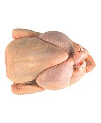 Kip Heel Ca 1.1 Kg