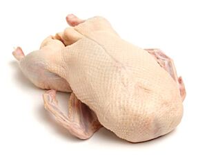 Gans Wild Panklaar Ca 2 Kg