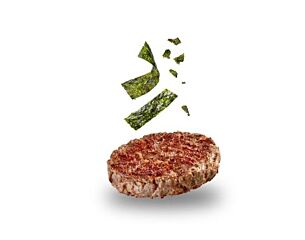 Hamburger Rund/Zeewier 170 Gram Diepvries