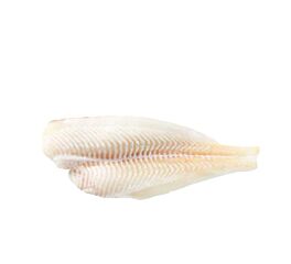 Scholfilet Huidloos 200+ Gram