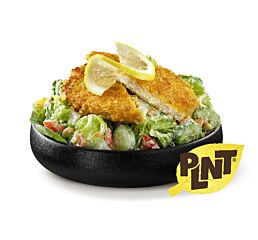 Plnt Kipschnitzel Vegetarische A 100 Gr