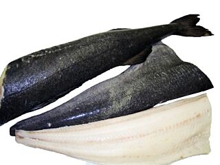 Black Codfilet Pbi