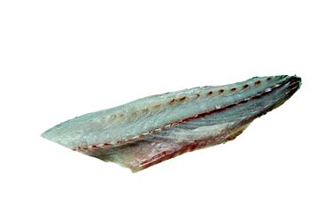 Corvinafilet Zonder Vel
