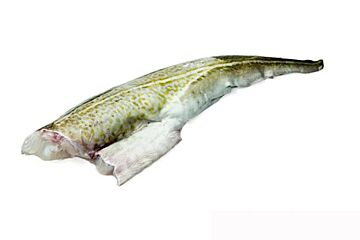 Skrei Filet Met Vel Geportioneerd Msc