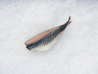 Makreelfilet Met Vel Graatloos