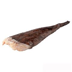 Zeeduivel 2-4 Kg Zonder Kop