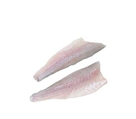 Zeebaarsfilet 300-400 Zonder Vel Ga