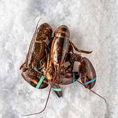 Kreeft Voor Soep Diepvries