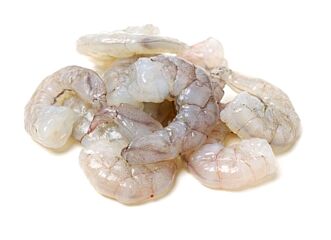 Gamba Bt 16/20 Pealed Diepvries