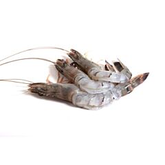 Black Tiger Gamba 16/20 Met Kop 10 Kg Doos Diepvries