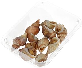 Wulken Gestoomd