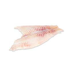 Tarbot Filet Met Vel 2-3 Kilo Ca 1450 Gram