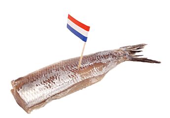 Haring Nieuwe