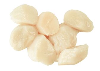 Nw Seacon Coquilles 10/20  Msc Diepvries