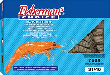 Nw Seacon Garnaal Black Tiger Hoso Semi Iqf 31/40 80%
