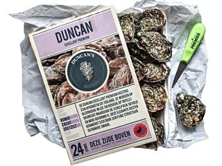 Oesters Duncan Excellent Premium Nr 3