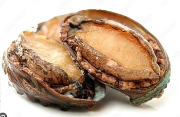 Abalone Mand 3 Kg