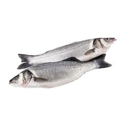 Zeebaars 3+Kg Gestript Geschubd