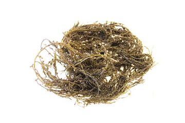 Bessenwier Japans 1 Kg