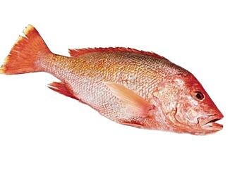 Red Snapper 1-2 Kg Gestript Geschubt