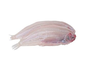 Tong Znd Vel 270-320 Gr P.St. Vacuum Ds 5 Kg Diepvries