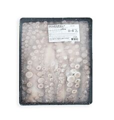 Pulpo Heel 3000-4000 Dv Whole Cleaned Diepvries