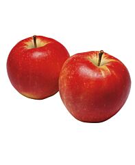 Appels Elstar