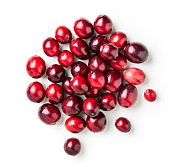 Cranberries Terschelling Nl Bio 01