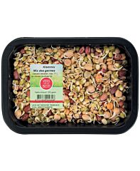 Kiemmix Crunchy Mini Tauge/Linzen/Radijs