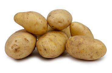 Aardappel Vastkokend Gewassen