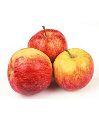Appel Jonagold