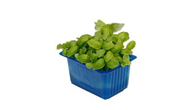 Koppert Cress Basil Cress Solitair