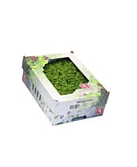 Koppert Cress Melissa Cress Bakje