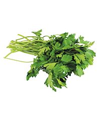 Platte Peterselie Kist +/- 20St