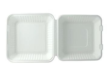 Takeaware Menubox Suikerriet 1-Vak 233X233x81mm