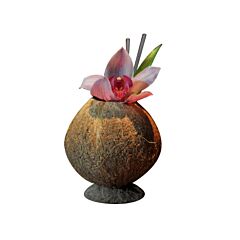 Bar Professional Cocktailglas Coconut 50 Cl