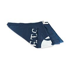Fletcher Spun Banier 300X120cm Blauw Met Logo