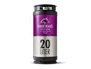 Brouwerij T IJ IJndejaars