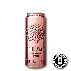 Soul Water Sparkling 33Cl Blik