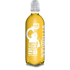 Vitamize Greentea Lemon 50 Cl
