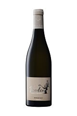 Rethore Davy Tandem Blanc 2016 2016