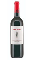 Vega Clara Vega Clara Mario