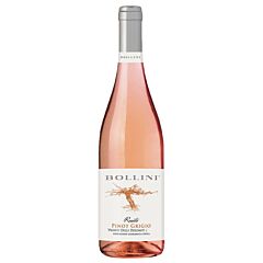 Bollini Pinot Grigio Rosato Vigneti Delle Dol