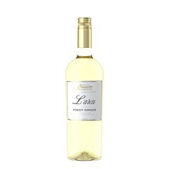 L'arca Pinot Grigio Terre Siciliane Igt 2025