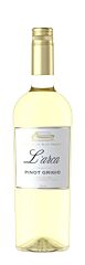 L'arca Pinot Grigio Terre Siciliane Igt 2024