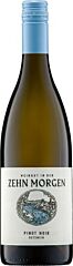Zehn Morgen Pinot Noir Gutswein