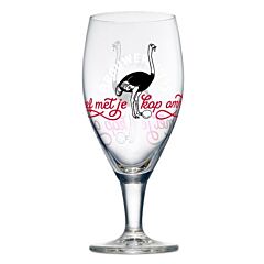 Brouwerij 'T IJ Glas 30Cl